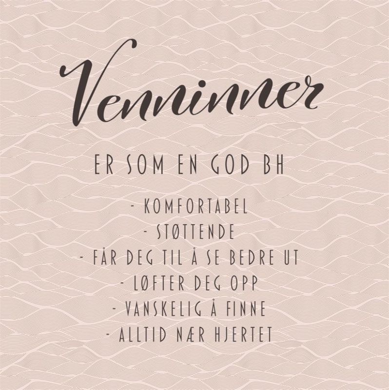 Serviett lunsj 20 stk BH venninne 33x33cm