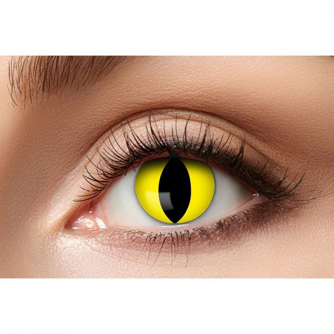 Hovedbilde Linser Yellow Cat