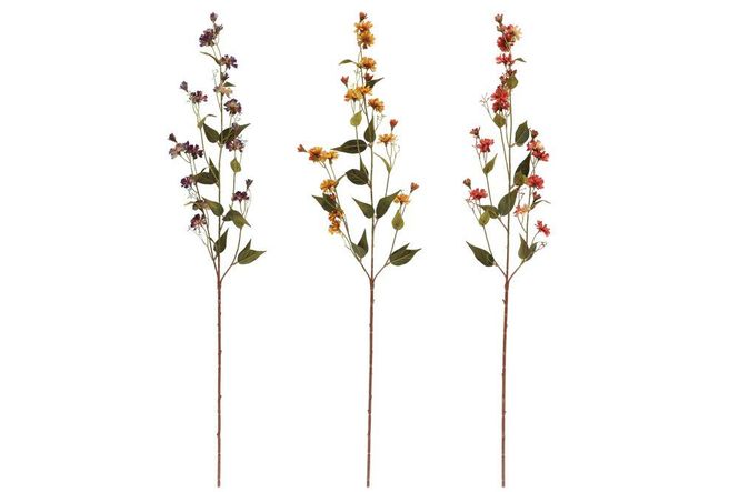Hovedbilde Hieracium 102cm 3ass farger