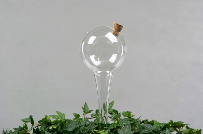 Hovedbilde Vanningsboble i glass 25cm