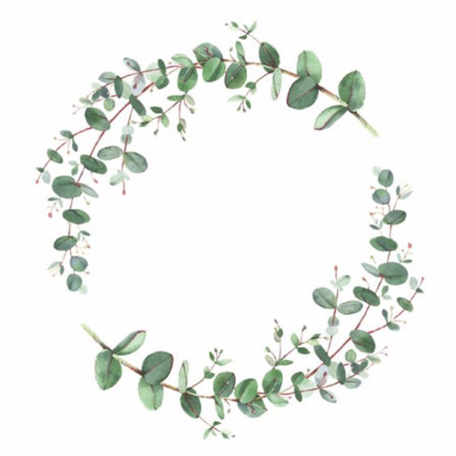 Hovedbilde Kaffe servietter Eucalyptus 