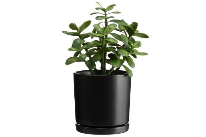Hovedbilde Blomsterpotte 15cm Matt Sort