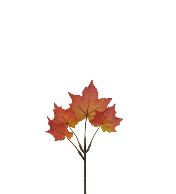 Hovedbilde Høstblad Lønn 20cm