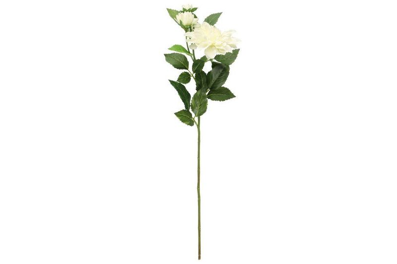 Dahlia Hvit 62cm