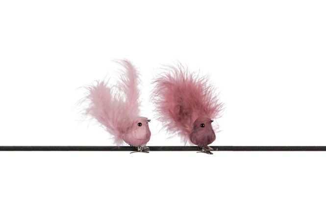 Hovedbilde Fugl med klype 2ass rosa